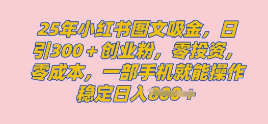 2025年小红书创业粉图文自热教程，日+300创业粉，单日变现多张，无脑操作，宝妈，小白抓紧冲-创业项目网