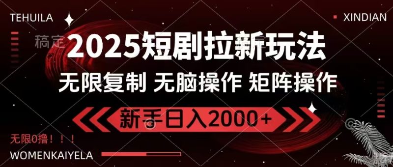 2025短剧拉新玩法，无需注册登录，无限0撸，无脑批量操作日入2000+-创业项目网