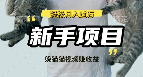 利用老外躲猫猫大赛视频，挣分成收益，操作简单，新手小白，轻松月入过W-创业项目网