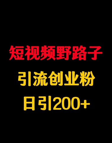 短视频野路子引流创业粉，日引200+-创业项目网