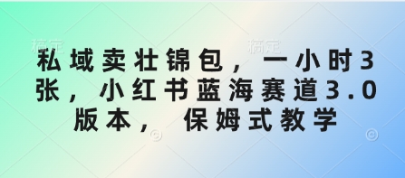 私域卖壮锦包，一小时3张，小红书蓝海赛道3.0版本， 保姆式教学-创业项目网