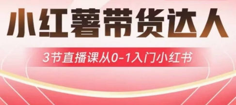 小红薯达人带货启航计划，3节直播课从0-1入门小红书-创业项目网