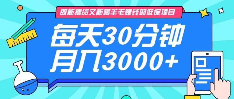 既能撸货又能赚钱的长期低保项目,每天30分钟,多号百分百稳定月入3000+-创业项目网