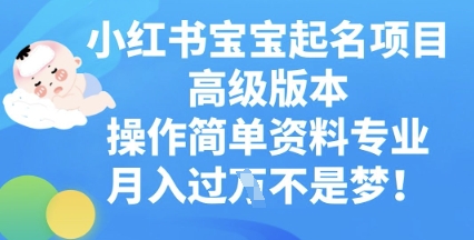 小红书宝宝起名项目高级版本，操作简单，资料专业，月入过W-创业项目网