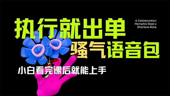 爆火全网的开车导航骚气语音包,只要执行就出单，小白看完课程就能实操-创业项目网
