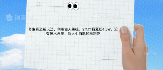 AI养生赛道新玩法，10条作品涨粉5.2W，操作简单，新人小白能轻松制作-创业项目网