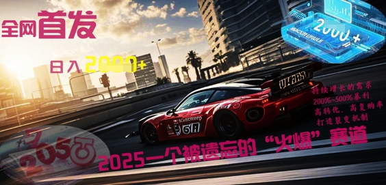 全网首发：2025一个被遗忘的“火爆”赛道轻松日入多张-创业项目网
