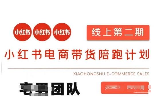 小红书电商带货课2期，月利润20个的小红书电商的有货源，无货源，虚拟产品，付费投流等整套玩法-创业项目网
