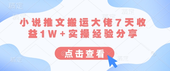 小说推文搬运大佬7天收益1W+实操经验分享-创业项目网