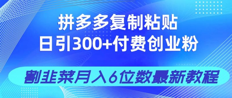 拼多多复制粘贴日引300+付费创业粉，割韭菜月入6位数最新教程-创业项目网