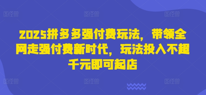 2025拼多多强付费玩法，带领全网走强付费新时代，玩法投入不超千元即可起店-创业项目网