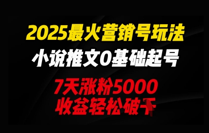 2025最火营销号玩法：小说推文0基础起号，7天涨粉5000，收益轻松破k-创业项目网