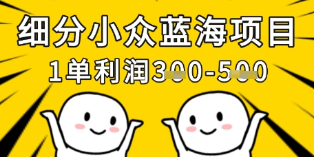 细分小众蓝海项目，一单利润3张，每月收入稳定过1w+-创业项目网