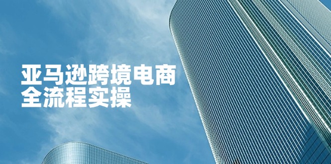 亚马逊跨境电商全流程实操，教你从零开始，掌握店铺运营与广告技巧-创业项目网