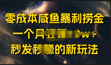 零成本咸鱼暴利捞金，一个月收益过w+，秒发新玩法-创业项目网