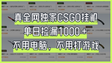 真全网独家CSGO挂机，单日捡漏1k+-创业项目网