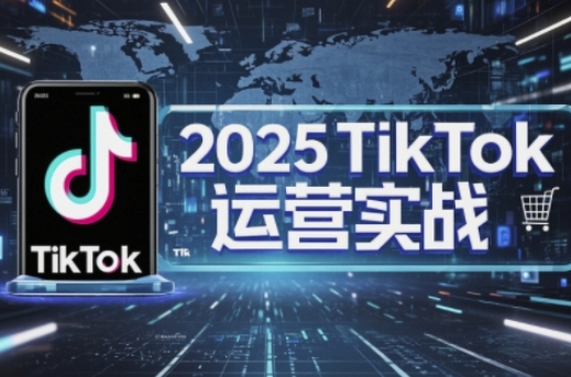 2025TikTok电商运营，掌握TikTok店铺运营核心技巧，实现低成本高转化-创业项目网