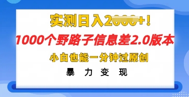 2025抖音1000个野路子信息差最新玩法，一分钟过原创，暴力变现月入几k-创业项目网
