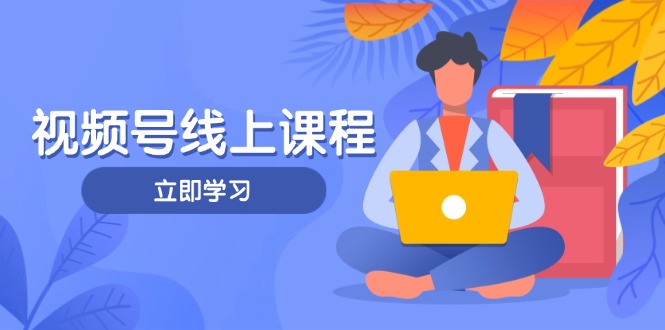 视频号实战课程，轻IP打造与运营技巧，掌握核心方法与策略-创业项目网