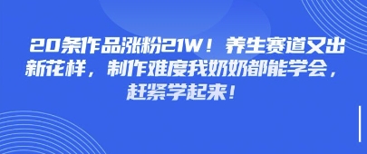 20条作品涨粉21W！养生赛道又出新花样，制作难度我奶奶都能学会，赶紧学起来-创业项目网