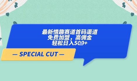 【轻云】最新情趣赛道首码渠道，免费加盟，高佣金，轻松日入500+-创业项目网