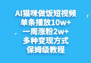 AI猫咪做饭短视频，单条播放10w+，一周涨分2w+，多种变现方式，保姆级教程-创业项目网