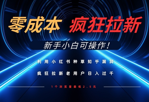 利用小红书种草知乎漏洞，零成本疯狂拉新日入数张，新手小白可操作-创业项目网