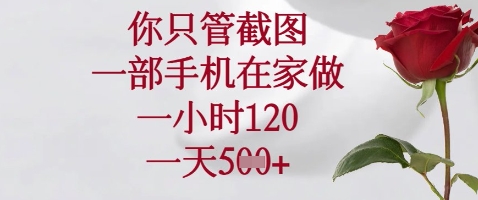 你只管截图，一部手机在家做，苹果安卓都可以，一小时120，一天5张+-创业项目网