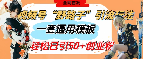 视频号“野路子”玩法，评论区疯狂截流，一套模板单日单号引流50+创业粉-创业项目网