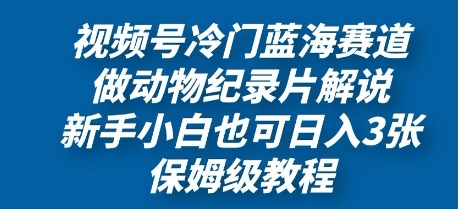 视频号冷门蓝海赛道，做动物纪录片解说，新手小白也日入3张，保姆级教程-创业项目网