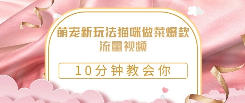 萌宠新玩法猫咪做菜爆款流量视频，10分钟教会你-创业项目网