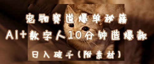宠物赛道爆单秘籍：AI+数字人10分钟造爆款，日入1k-创业项目网
