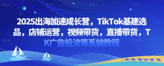 2025出海加速成长营，TikTok基建选品，店铺运营，视频带货，直播带货，TK广告投流等系统教程-创业项目网