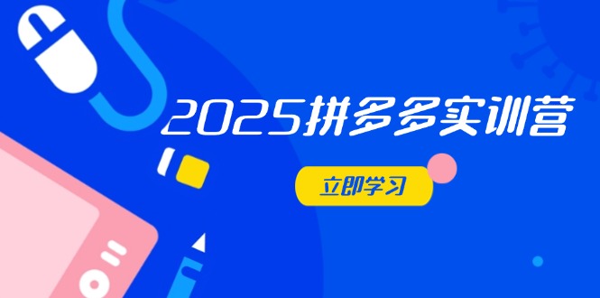 2025拼多多实训营：深度剖析运营关键，助力电商人快速提升-创业项目网