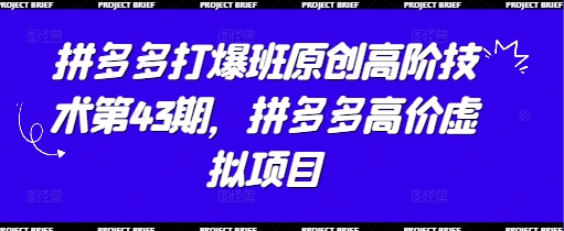 拼多多打爆班原创高阶技术第43期，拼多多高价虚拟项目-创业项目网