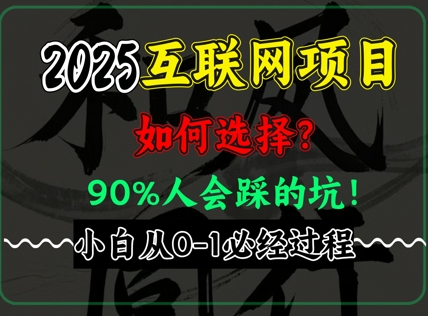 2025年互联网项目搞钱方法论，全是干货，肺腑之言，新手从0-1必经过程，边看边实操-创业项目网
