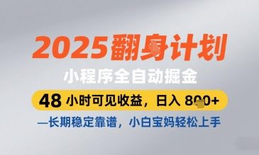 2025小程序全自动掘金，48 小时可见收益，日入800+，长期稳定靠谱，小白宝妈轻松上手-创业项目网
