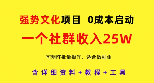 强势文化项目，一个社群收入25个W，0成本启动，可矩阵批量操作，原创详细实操教程-创业项目网