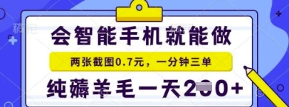 简单截图就能有收益，最适合小白做的副业，日入200+轻轻松松-创业项目网