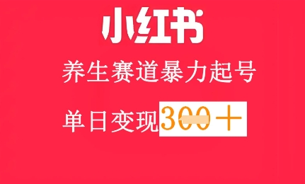 小红书养生赛道，暴力起号，轻松日入300+-创业项目网