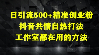 日引流500+精准创业粉，抖音共情自热打法，工作室都在用的方法-创业项目网