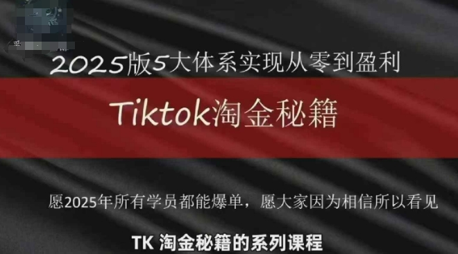TikTok跨境2025淘金秘籍，​2025TikTok从0到盈利变现-创业项目网