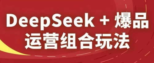 DeepSeek+爆品运营组合玩法，2025淘系精品课-创业项目网