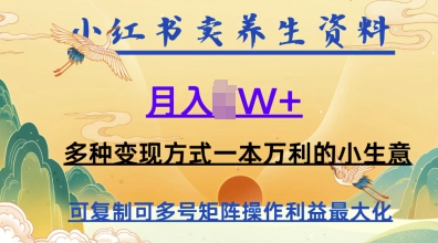在小红书上卖养生资料，月入1w+，多种变现方式一本万利的小生意-创业项目网