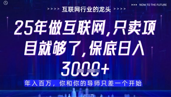 什么！25年你还在找项目做？风口早就变了，卖项目才是稳挣不赔-创业项目网