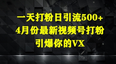 一天打粉日引流500+，4月份最新视频号打粉，引爆你的微信-创业项目网