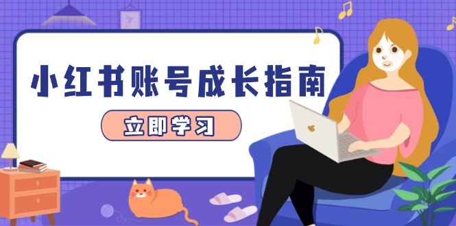 小红书账号成长指南，爆款选题+精准定位+数据分析，系统提升账号变现能力-创业项目网