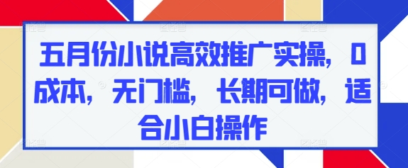 五月份小说高效推广实操，0成本，无门槛，长期可做，适合小白操作-创业项目网