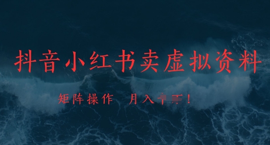 抖音小红书卖虚拟资料，市场需求一直存在，矩阵操作，月入1w+-创业项目网