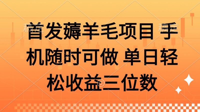 薅羊毛项目 手机随时可做 单日轻松收益三位数-创业项目网